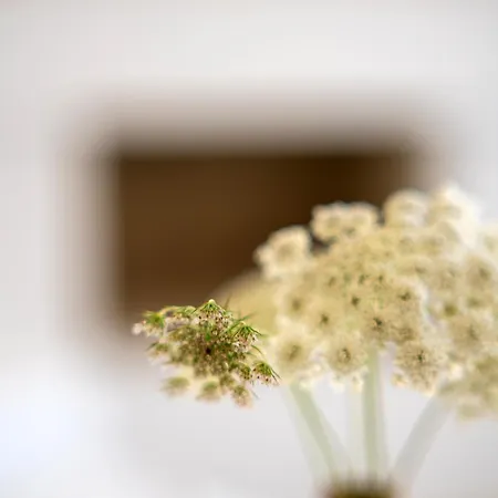 Il Casale Nel Parco 팜스테이 *