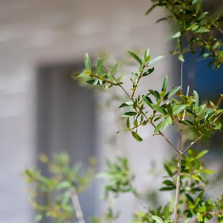 Il Casale Nel Parco 팜스테이