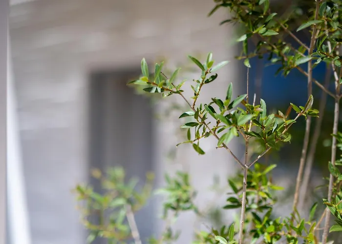 Il Casale Nel Parco Farma